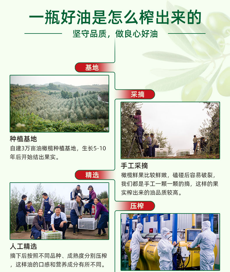 100%成熟度鲜果500ml